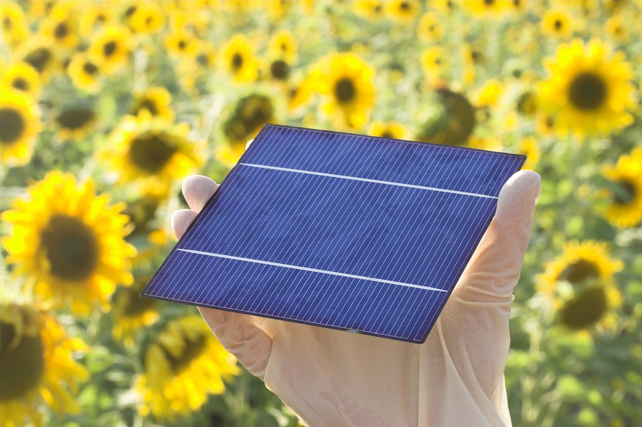 How to Reduce Your Carbon Footprint at Home